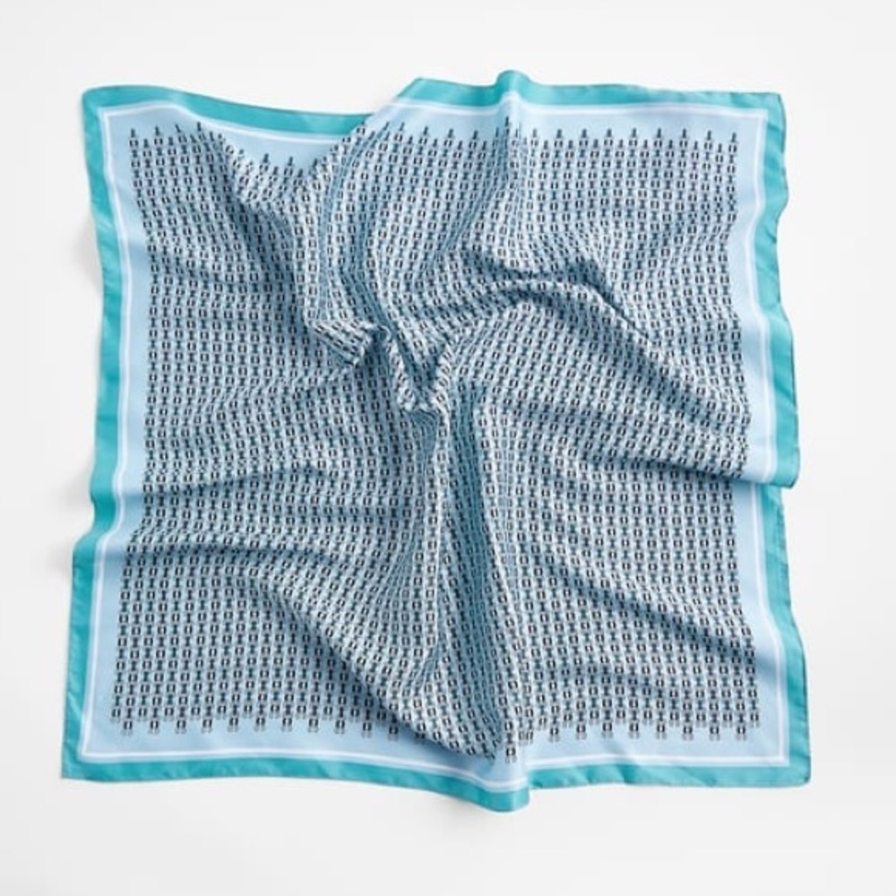 Nwot Zara Blue Printed Satin Scarf
